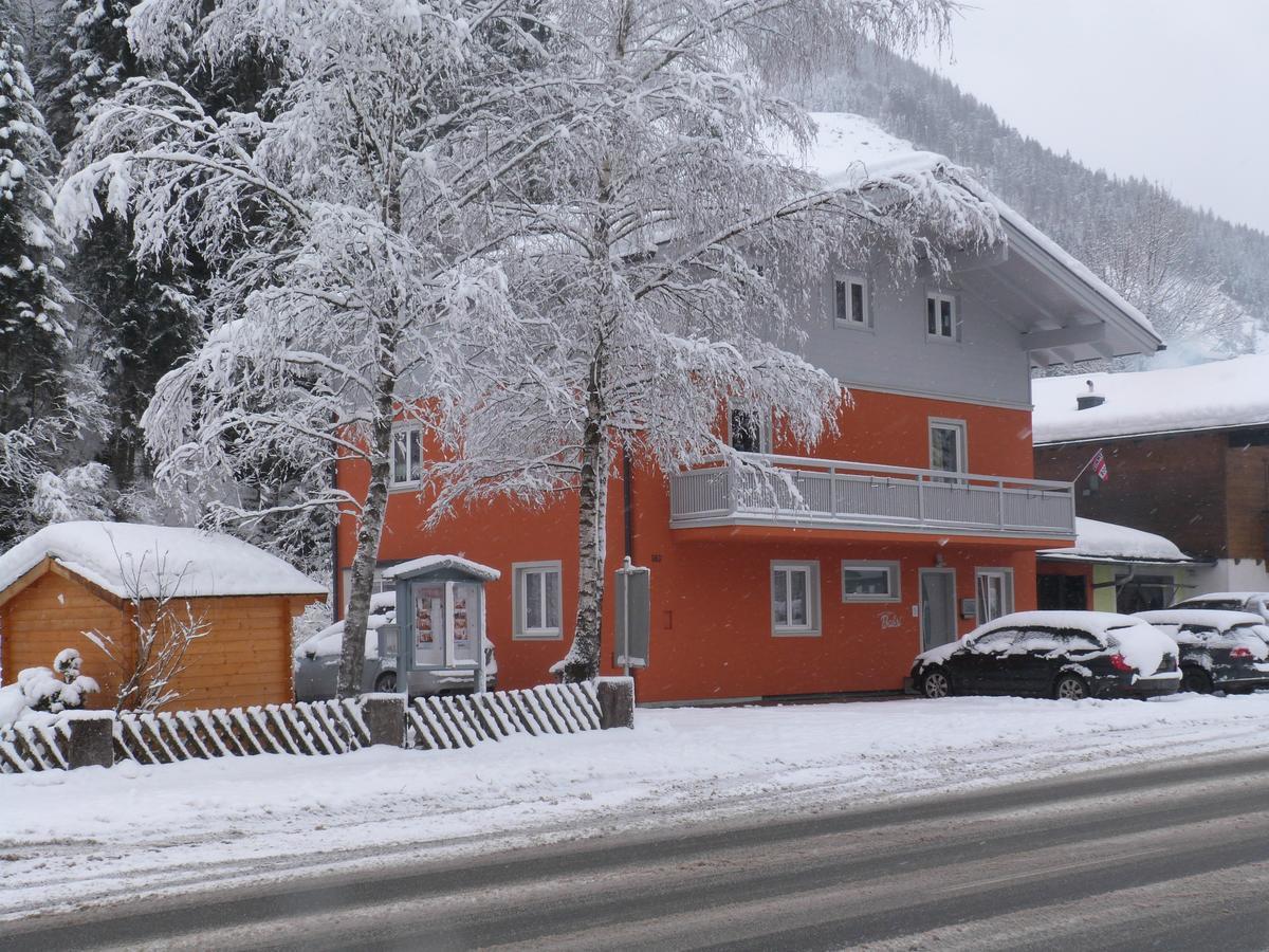 Alpen Appartements Viehhofen Exterior foto